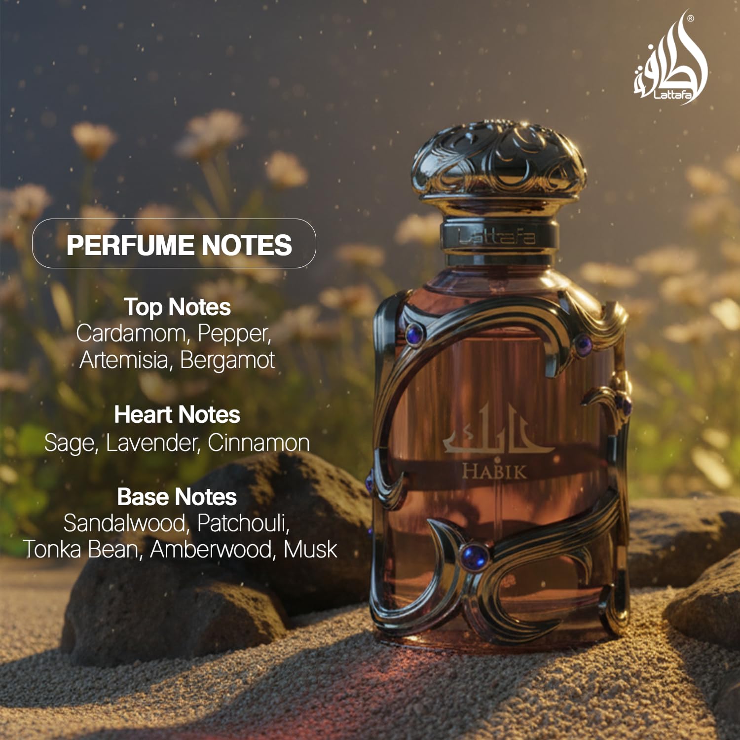 Lattafa Habik – Spicy, Aromatic, Woody, Musky – Eau de Parfum Spray Long-Lasting Fragrance for Men, 3.4 Ounce / 100 ml